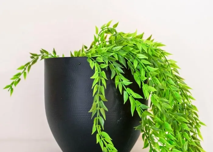 Terra Cota - Centre Historique Apartman